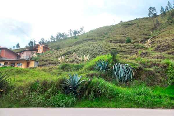SE VENDE AMPLIO TERRENO CON CONSTRUCCIÓN EN GUALACEO
