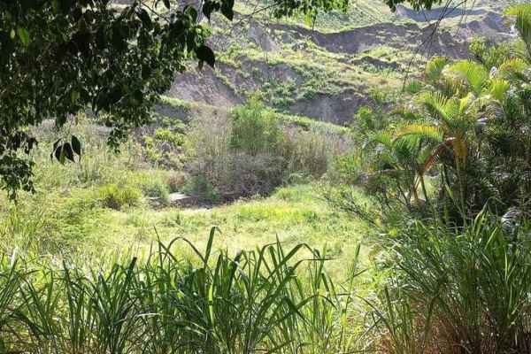VENTA DE TERRENO UBICADO EN YUNGUILLA ( VIA A SULUPALI)