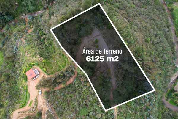 TERRENO EN VENTA UBICADO EN SECTOR EL VALLE DE OPORTUNIDAD